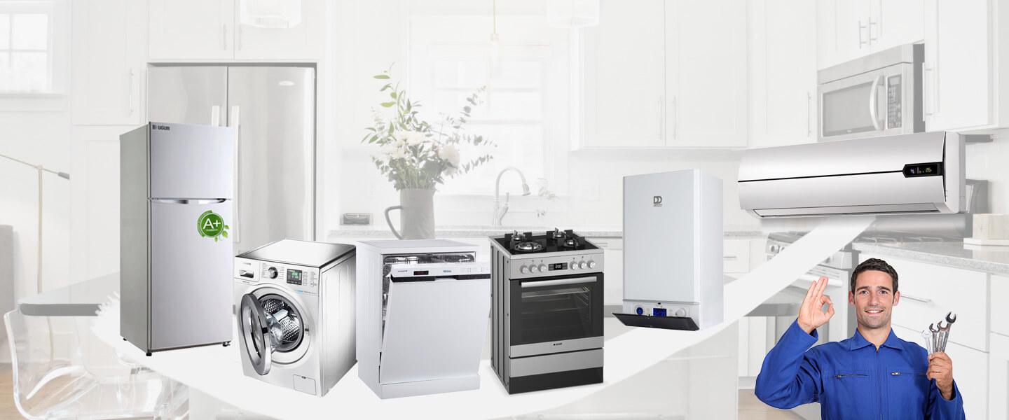 Çay Dominox Servisi